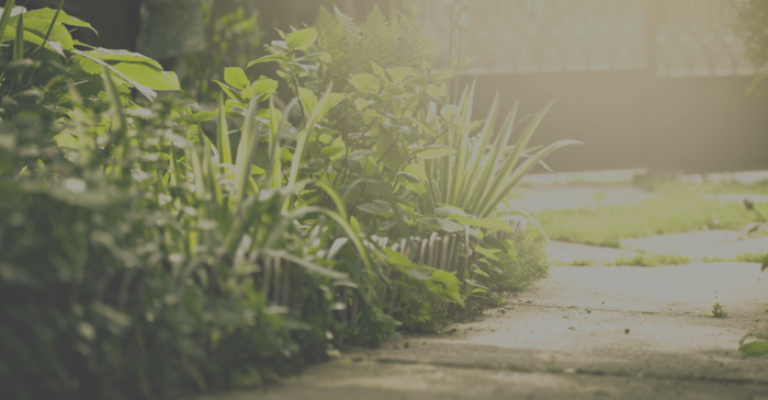 Complete Pest Control